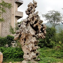 荆州太湖石假山石大小都有颜色多窟窿石