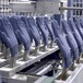 全浸胶手套生产线创美全自动手套机器人性化设计