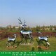 天津鹿雕塑設計合理圖