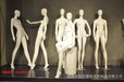 浙江女装展示模特,个性陈列模特