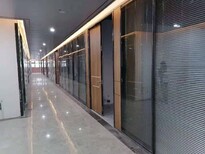 广州办公室铝合金玻璃隔断,办公室双玻百叶高隔断图片2