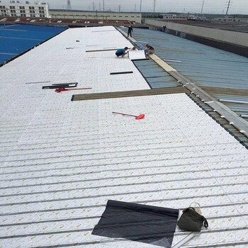 北京sbs改性沥青防水卷材厂家供应,天信防水材料好防水