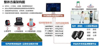 浩康云智能运动心率监测战备箱,河南销售浩言健康团队心率战备箱用途图片3