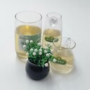 南京玄武區(qū)勾兌技術(shù)鴻泰萊生物質(zhì)植物油不黑鍋底,植物油燃料