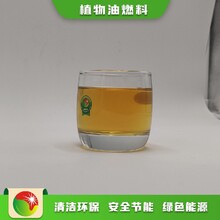 湖南永州江永县植物油1号燃料代理价图片