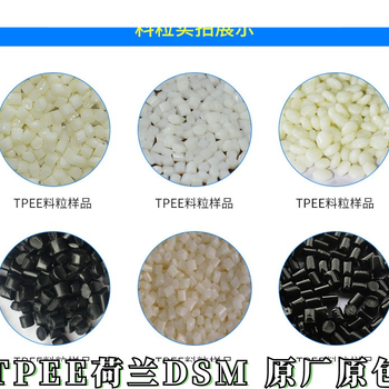 TPEE荷蘭帝斯曼注塑級阻燃增韌運(yùn)動器材彈性體原料EL250