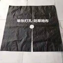 打孔藍莓防草布,打孔除草布