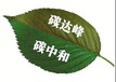 淮南ISO14064认证CDP森林气候水资源,ISO14064碳核查