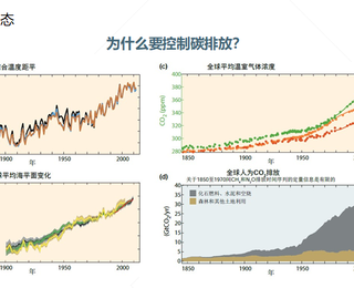 图片0