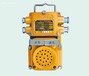 KXH127型矿用隔爆兼本质安全型声光组合信号器矿用组合信号器声波信号器