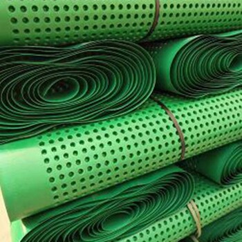 红河蓄排水板生产厂家红河凹凸型塑料排水板厂家企业依标定制
