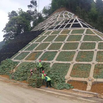 安阳生态袋草籽生态袋安阳河道护坡生态袋