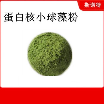 蛋白核小球藻粉斯诺特可定制标准提取物食品级原料