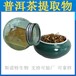 普洱茶提取物斯諾特生物速溶茶粉可分裝1公斤拿樣