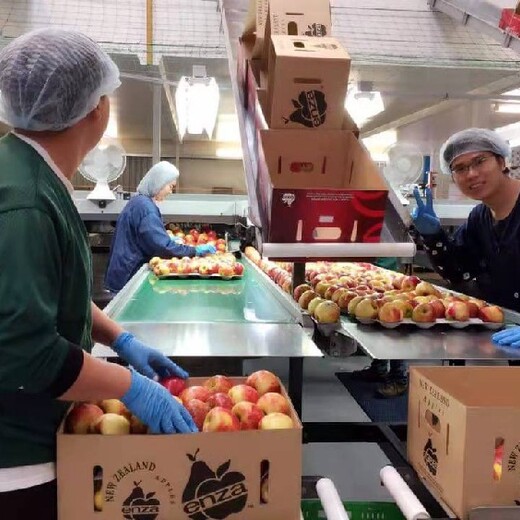 新西兰水果采摘工诚信出国劳务公司免费出国劳务