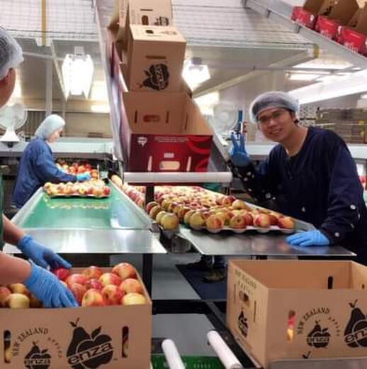 新西兰雇主担保丹麦超市招工保底月薪2万