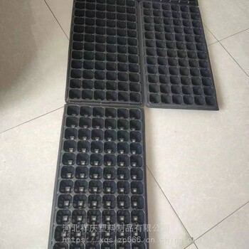 祥慶果蔬類黃瓜育苗盤塑料育苗盤供應(yīng)定制