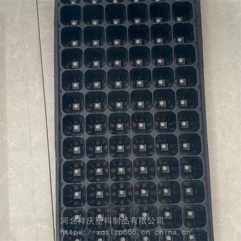 祥慶果蔬類花生芽水培箱育苗盤多功能育苗穴盤報(bào)價(jià)出售