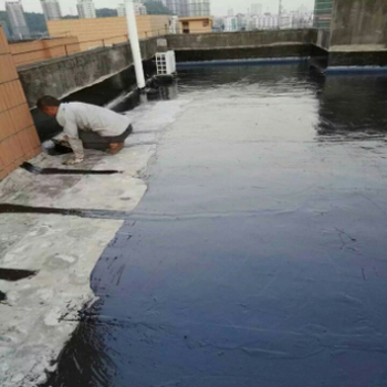 东莞沙田镇屋顶墙面防水补漏施工团队