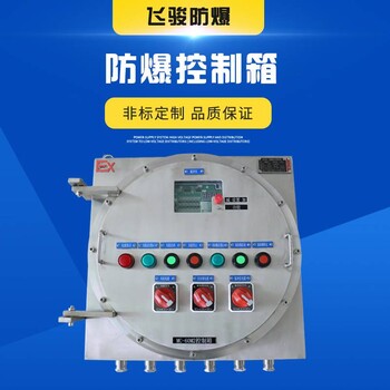 非标粉尘BXK系列防爆控制箱厂家IIC级不锈钢脉冲控制仪表防爆控制箱