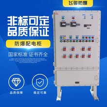 河南客户订做防爆变频器配电柜厂家散热防爆配电柜非标定制