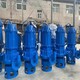 枣庄大流量水泵租赁厂家产品图