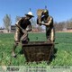 北京农耕雕塑图