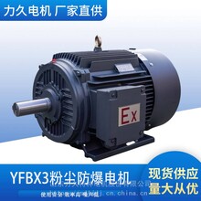 力久YFBX3粉尘防爆电机三相异步电动机