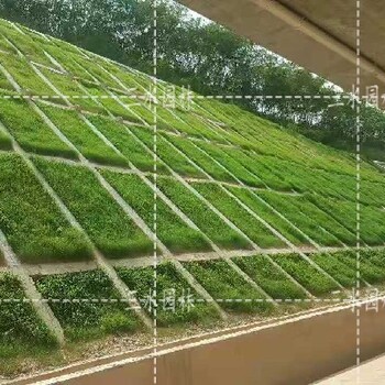 福建寧化縣哪里有邊坡綠化施工隊(duì)伍