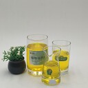 安徽馬鞍山工業(yè)燃料新型植物油燃料設(shè)備,水性燃料植物油
