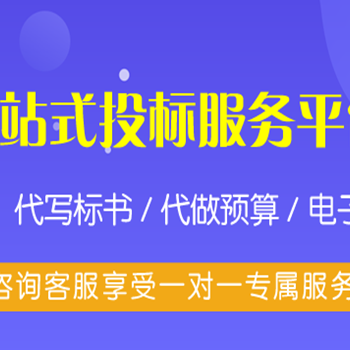 泰安标书代写-泰安做标书狐域代办CA开标服务