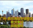 澳大利亚拼柜拼箱,广州至悉尼海运拼柜图片