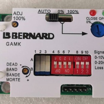 BERNARD伯纳德电动执行机构定位板GAMK