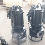 鲲升潜水泥浆泵质量可靠,泥沙泵图片0