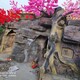 北京学校假树供应,水泥假树产品图