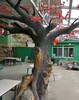 呼伦贝尔新巴尔虎右旗学校室内仿真桃花树设计