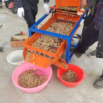 小麦种子筛选机五谷杂粮分选机花椒去杂清选设备