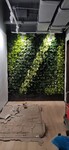 延安市垂直綠化種植盆生產批發