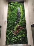 榆林市垂直綠化種植盆生產批發