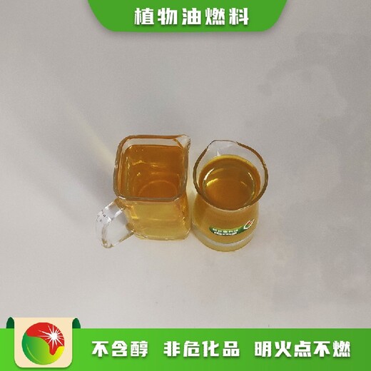 重庆綦江环保节能高热值植物油燃料操作流程