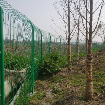 雷尊护栏围网、护栏网、园区护栏,宣化县制作雷尊双边丝护栏网颜色