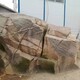 水泥塑石假山图