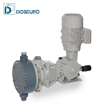 全进口意大利DOSEURO进口机械隔膜计量泵规格,投药泵