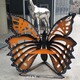 秀山動物蝴蝶雕塑圖