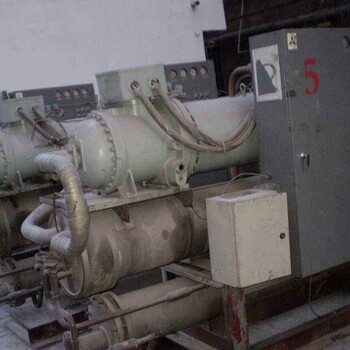蕉岭县发电机回收多少钱,收购各种品牌废旧发电设备
