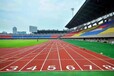 南宁马山大型游乐场地设施体育馆塑胶跑道专业承接各种塑胶跑道