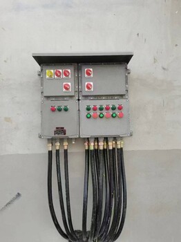 供应BXMD-12K双电源切换应急防爆配电箱EX隔爆型照明箱控制箱