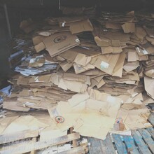 上海大量高价回收废纸箱用过的废纸架回收各种废纸盒