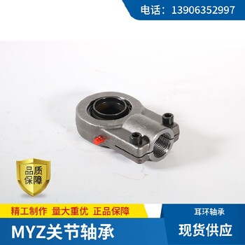 小型腾科轴承耳环关节轴承GAS120型号材料,耳环关节轴承