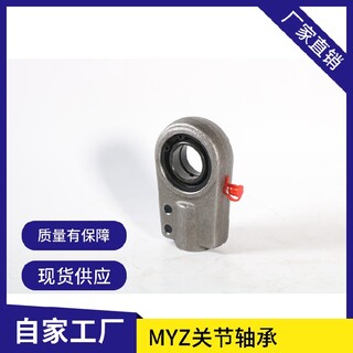 热门MYZ腾科轴承耳环关节轴承GAS120型号市场,自润滑关节轴承图片3